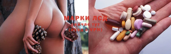 дмт Верея