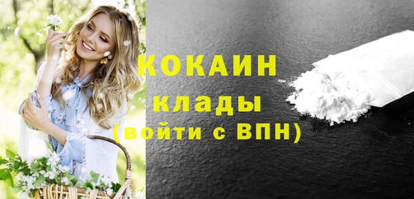 дмт Верея